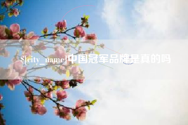 瑞安中国冠军品牌是真的吗