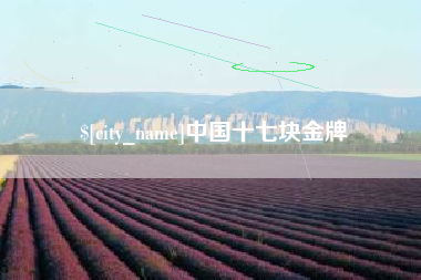 瑞安中国十七块金牌