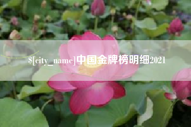 瑞安中国金牌榜明细2021
