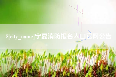 瑞安宁夏消防报名入口官网公告