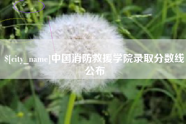 瑞安中国消防救援学院录取分数线公布