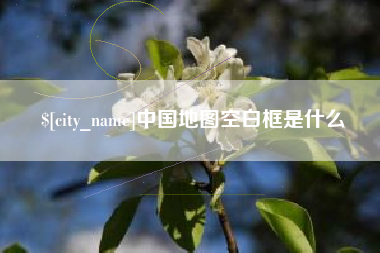 瑞安中国地图空白框是什么