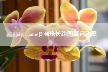 瑞安5000米长跑国家运动员