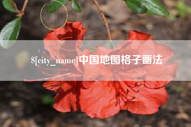 瑞安中国地图格子画法