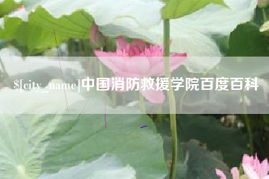 瑞安中国消防救援学院百度百科