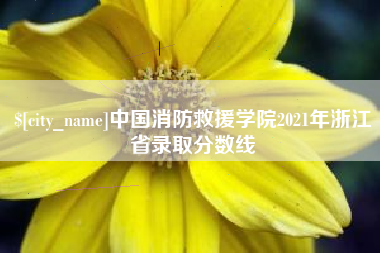 瑞安中国消防救援学院2021年浙江省录取分数线