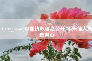 瑞安中国执政信息公开网-失信人员查询页