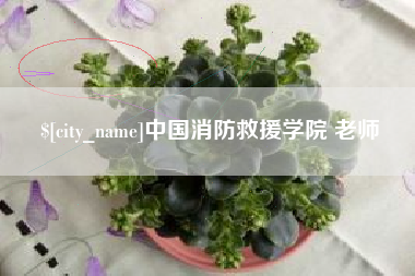 瑞安中国消防救援学院 老师