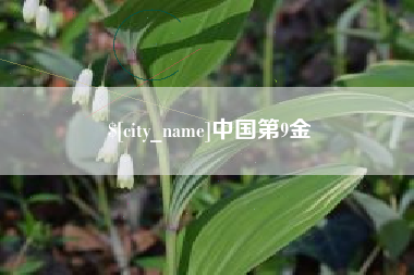 瑞安中国第9金