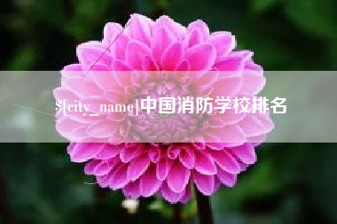 瑞安中国消防学校排名