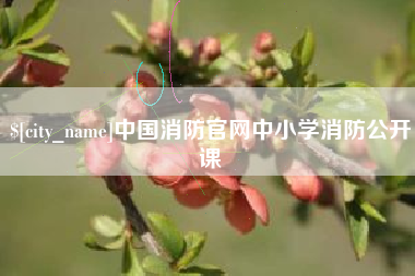 瑞安中国消防官网中小学消防公开课