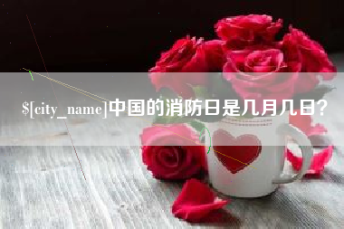 瑞安中国的消防日是几月几日？