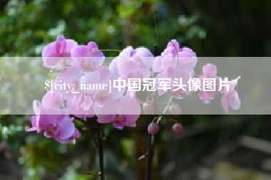 瑞安中国冠军头像图片