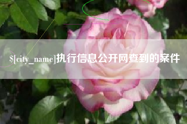 瑞安执行信息公开网查到的案件