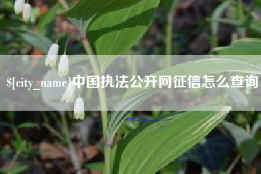 瑞安中国执法公开网征信怎么查询