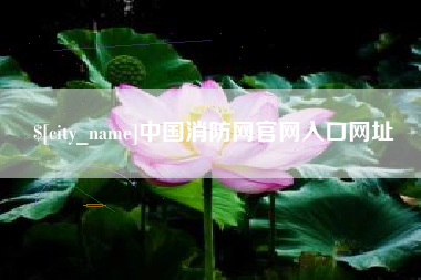瑞安中国消防网官网入口网址