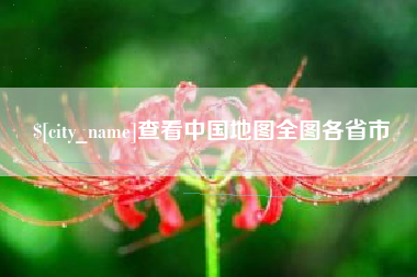 瑞安查看中国地图全图各省市