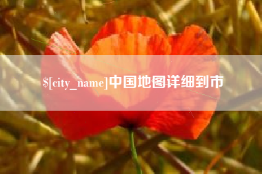 瑞安中国地图详细到市