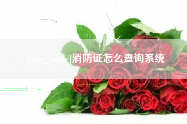 瑞安消防证怎么查询系统