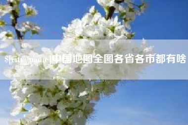 瑞安中国地图全图各省各市都有啥