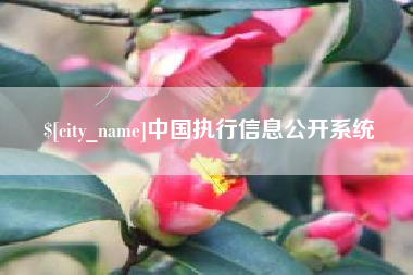 瑞安中国执行信息公开系统