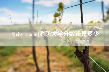 瑞安消防大学分数线是多少