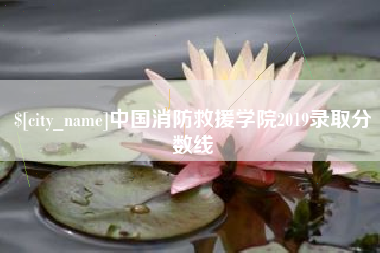 瑞安中国消防救援学院2019录取分数线