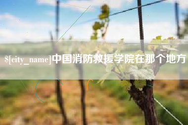 瑞安中国消防救援学院在那个地方