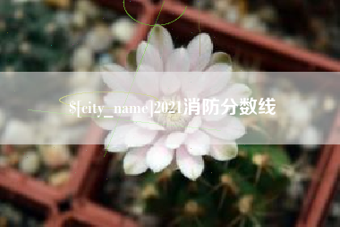 瑞安2021消防分数线