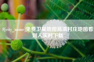 瑞安免费卫星地图高清村庄地图看到人实时下载
