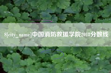 瑞安中国消防救援学院2018分数线