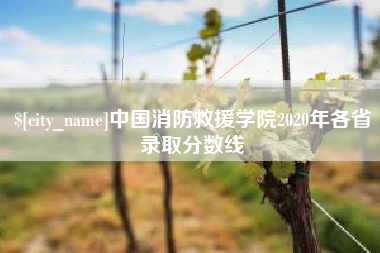 瑞安中国消防救援学院2020年各省录取分数线