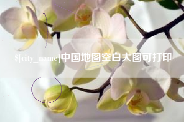 瑞安中国地图空白大图可打印