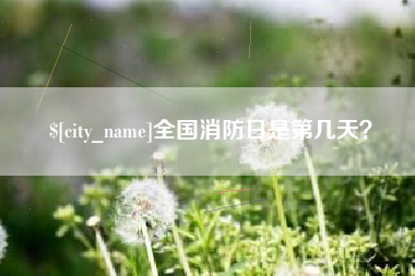 瑞安全国消防日是第几天？