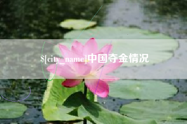瑞安中国夺金情况