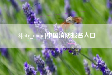 瑞安中国消防报名入口
