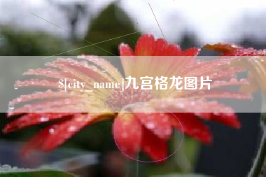 瑞安九宫格龙图片