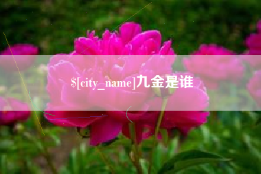 瑞安九金是谁