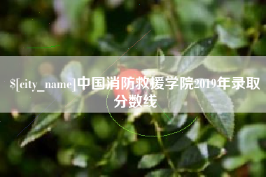 瑞安中国消防救援学院2019年录取分数线