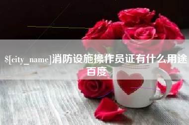 瑞安消防设施操作员证有什么用途百度