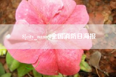 瑞安全国消防日海报