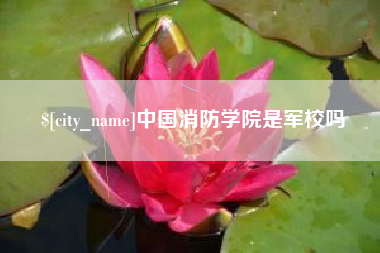 瑞安中国消防学院是军校吗