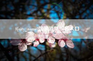 瑞安国家消防报名入口