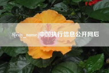 瑞安中国执行信息公开网后