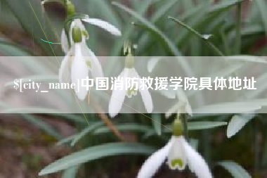 瑞安中国消防救援学院具体地址