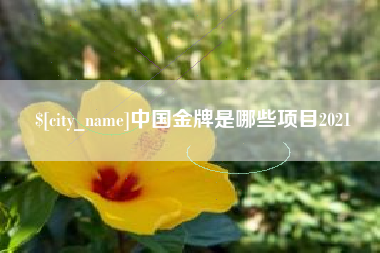 瑞安中国金牌是哪些项目2021