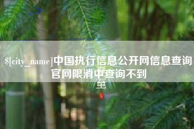 瑞安中国执行信息公开网信息查询官网限消中查询不到