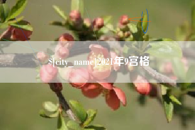 瑞安2021年9宫格