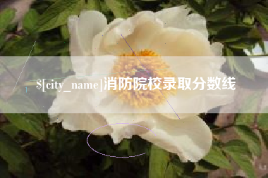 瑞安消防院校录取分数线