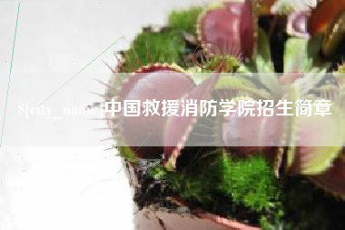 瑞安中国救援消防学院招生简章